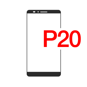 P20